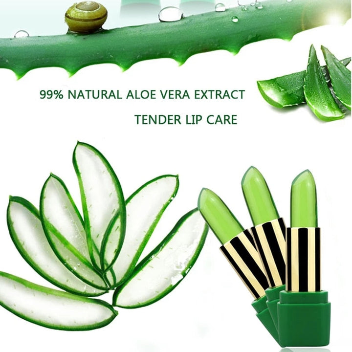 Bálsamo Labial Hidratante de Aloe Vera: Cuidado Natural para Tus Labios